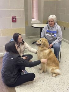 Therapy dogs @ South Entrance